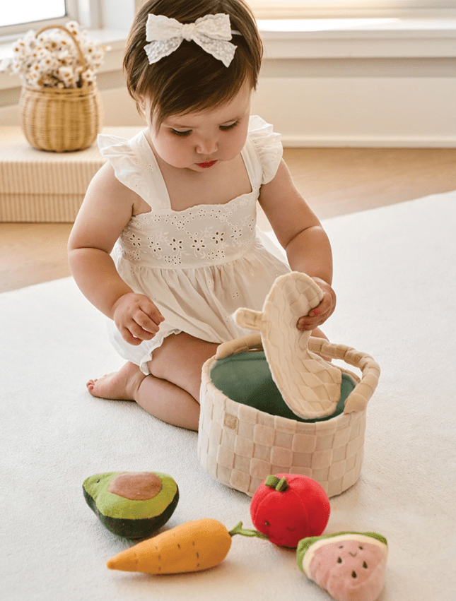 plush picnic basket activity set - Elegant Baby - Toy